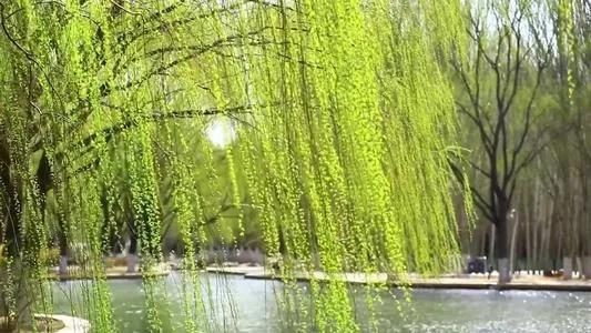 闺蜜小说知乎,闺蜜小说免费阅读