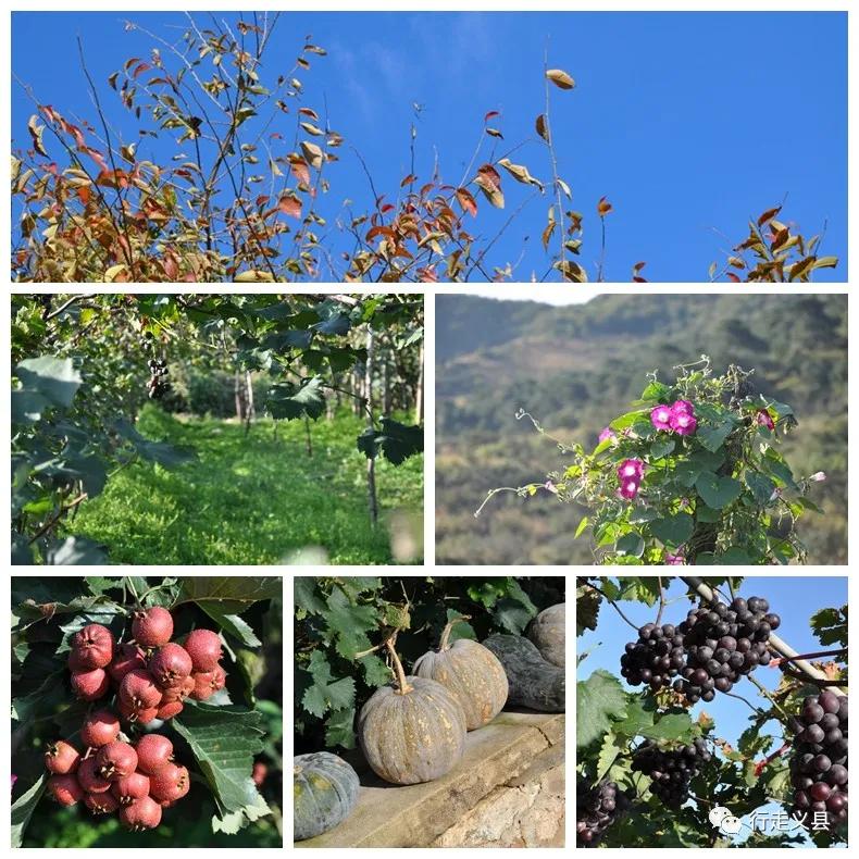 金秋十月看万山红遍层林尽染,金秋十月看红叶的诗句