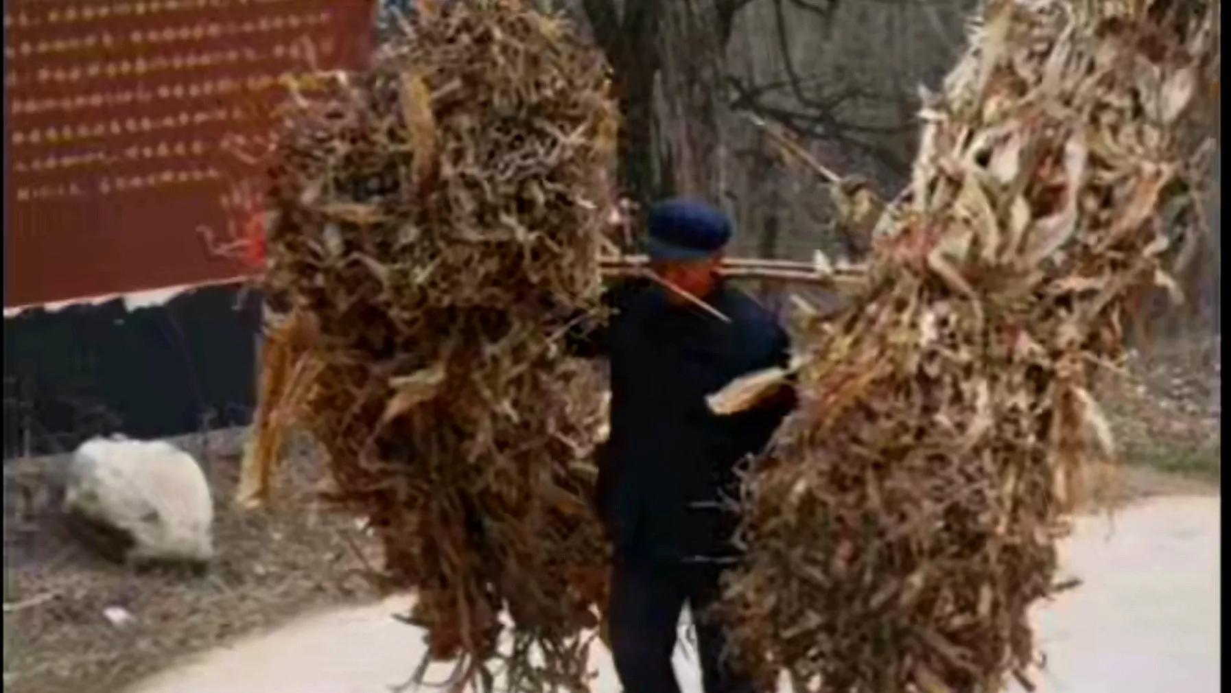 中国农村里的人生意义,农民自述活着的意义