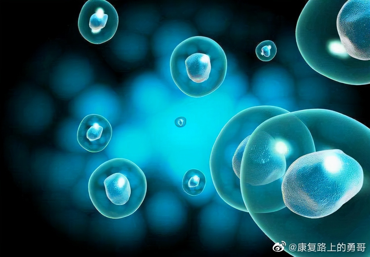 干细胞可以治疗中风偏瘫后遗症吗,干细胞治疗脑出血偏瘫为什么叫停