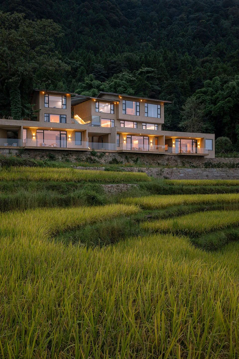 乡村振兴谋划不全不细典型案例,国内外乡村振兴典型代表及案例