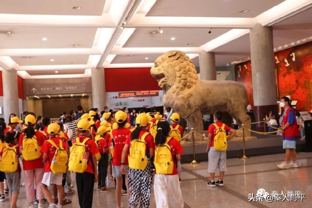 石榴籽一家亲夏令营总结会,石榴籽一家亲夏令营视频