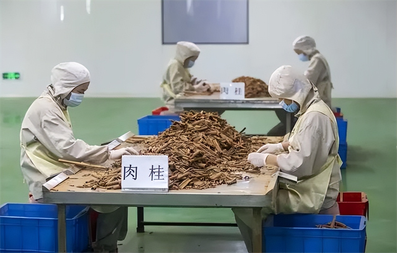 让辛吉飞横屏拍视频,让辛吉飞无可挑剔的产品