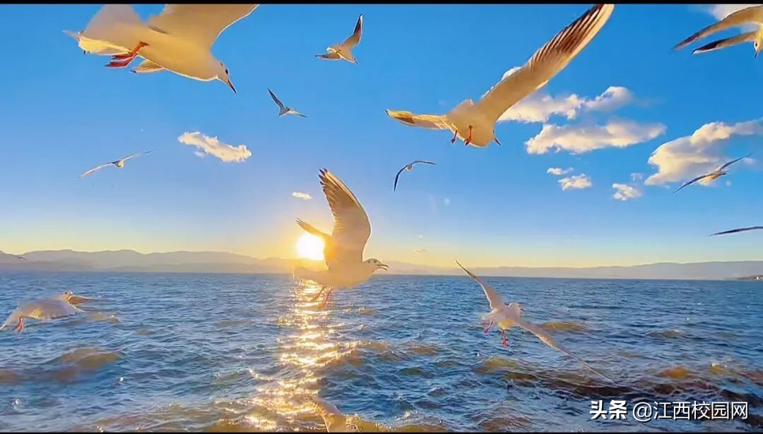 面朝大海春暖花开,面朝大海春暖花开配乐纯音乐mp3