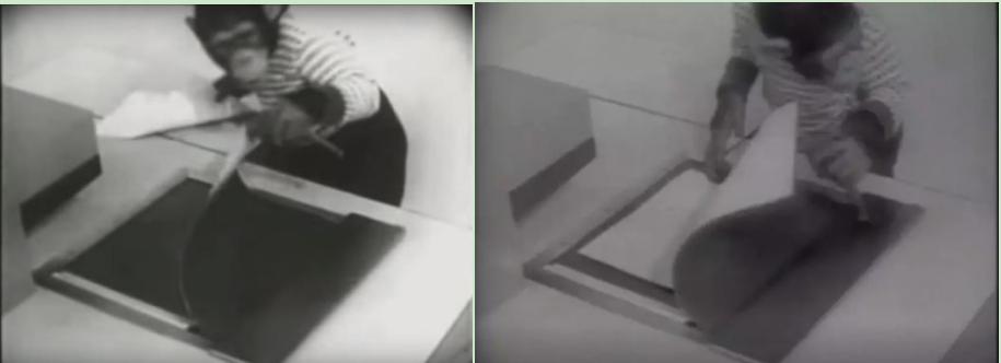 it历史上的里程碑,it发展史视频