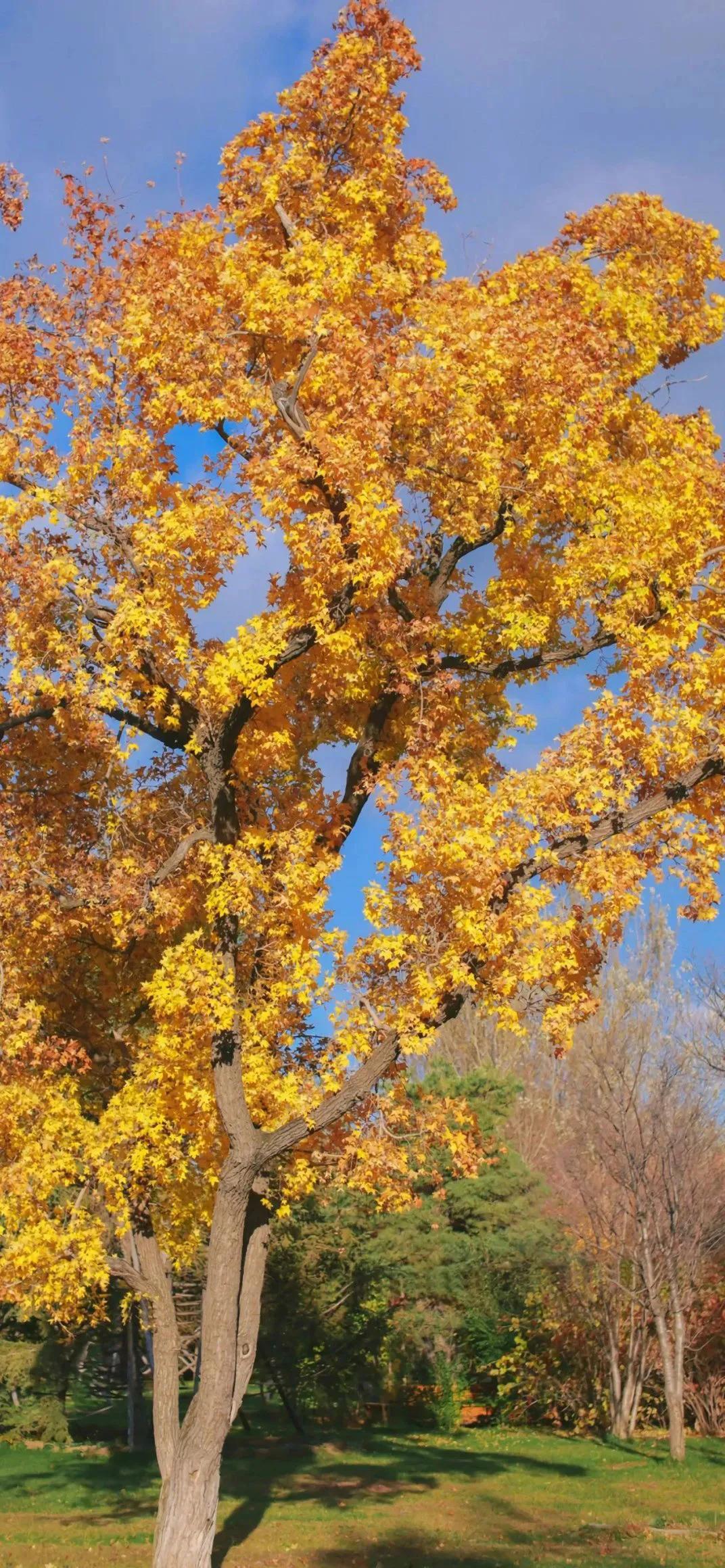 银行资管业务有哪些,银行资管盈利模式重塑
