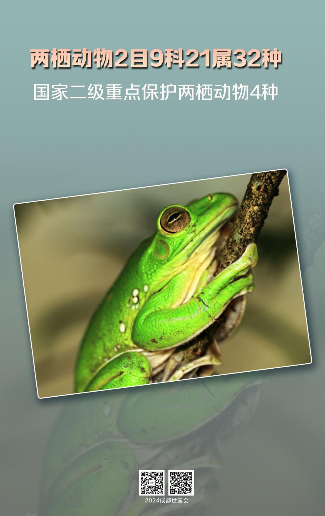 来认识下成都的生物“家底”→