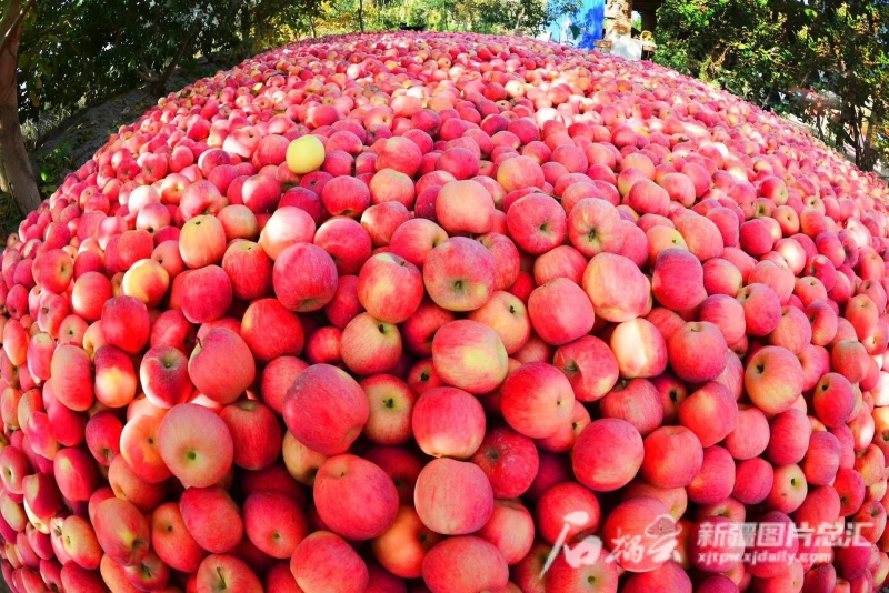 塔河上游四大“十亿元镇”怎样炼成