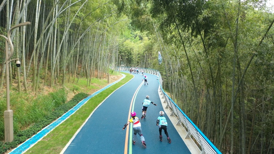 小小少年郎完整律动,小小少年郎完整版