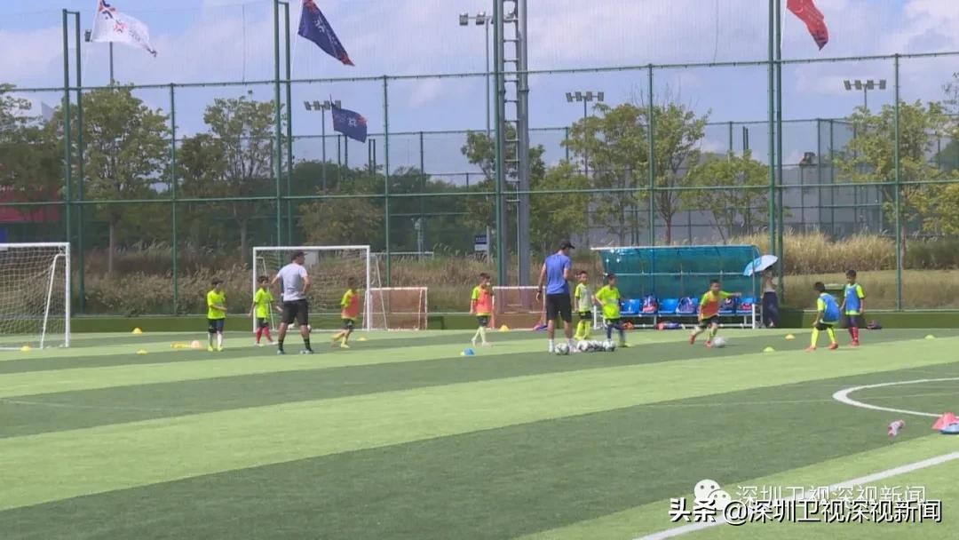 深圳垂直体育馆,深圳正在建设的体育馆