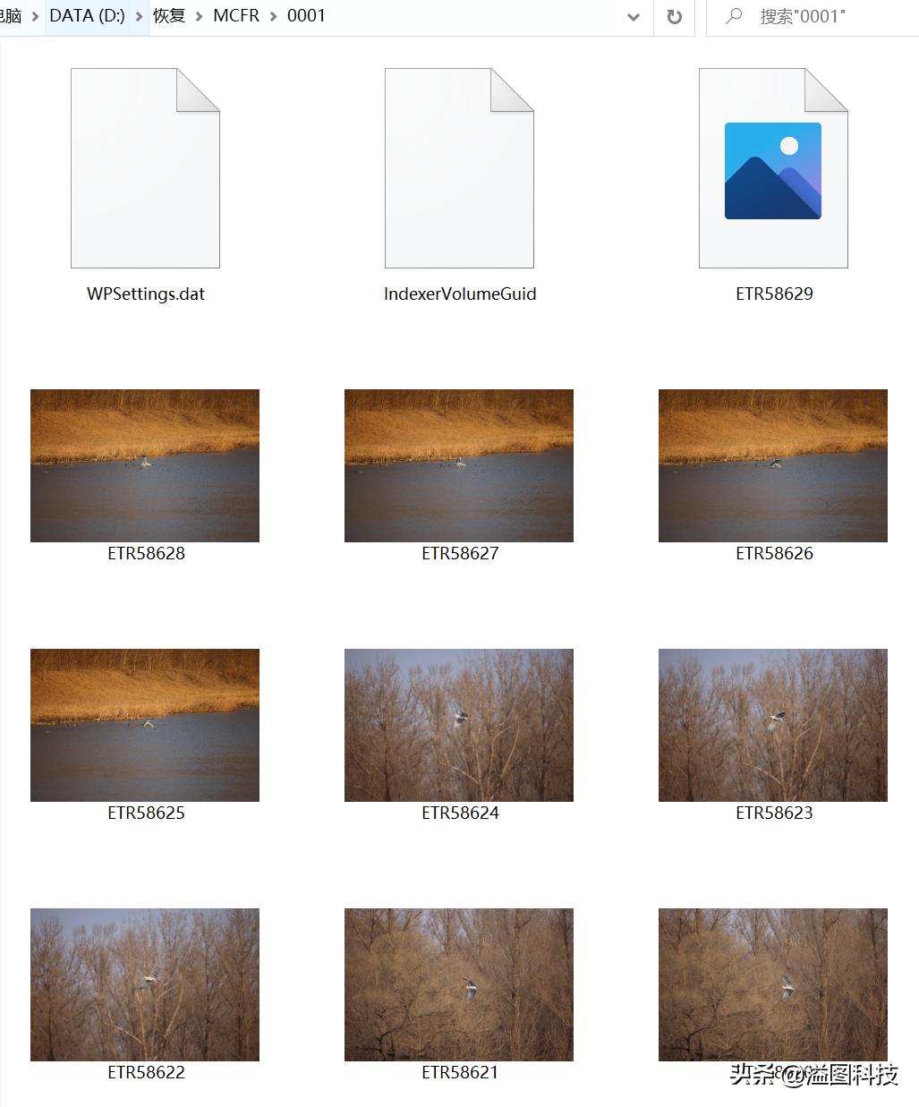 错删了照片和视频如何恢复,错删的软件怎么恢复