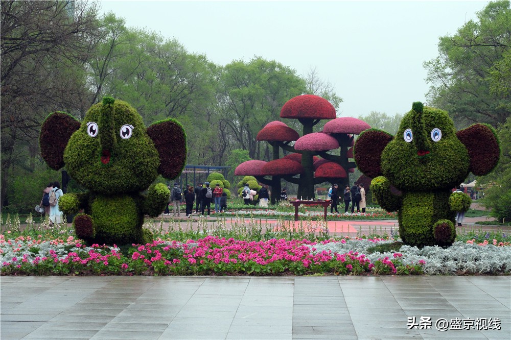 沈阳世博园金秋美景,沈阳世博园一日游详细攻略