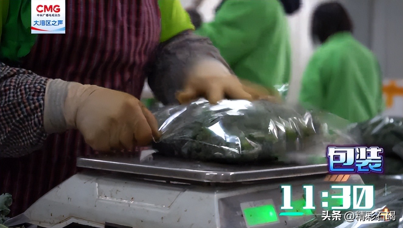 去香港美食攻略,香港美食攻略旺角全部