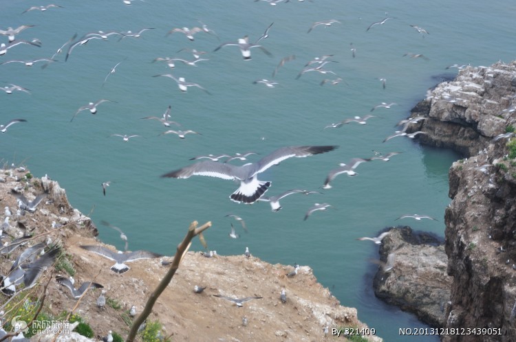 去威海玩完的感受,去威海旅游怎么说比较好