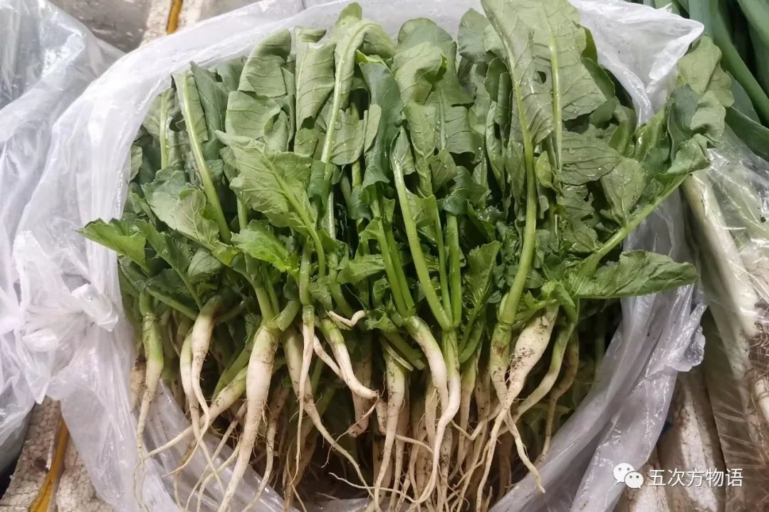 萝卜的这个小知识你知道了吗 (关于萝卜的百科知识有哪些)