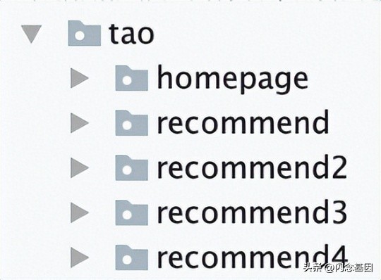 编程最难的是算法吗,编程入门的十大基础知识