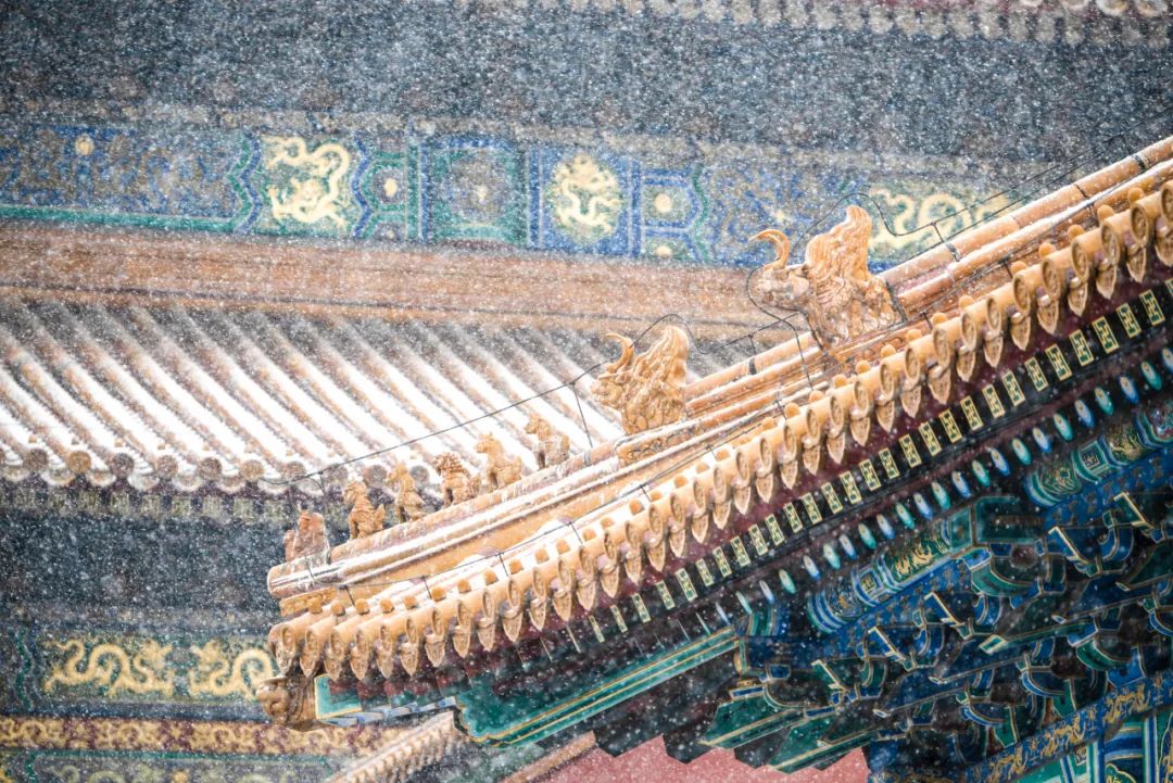 下雪适合拍什么大片,下雪到雪里面拍照片怎么拍最好看