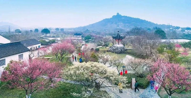 中国赏梅好去处苏州赏梅花,苏州十大赏梅胜地你去过几个
