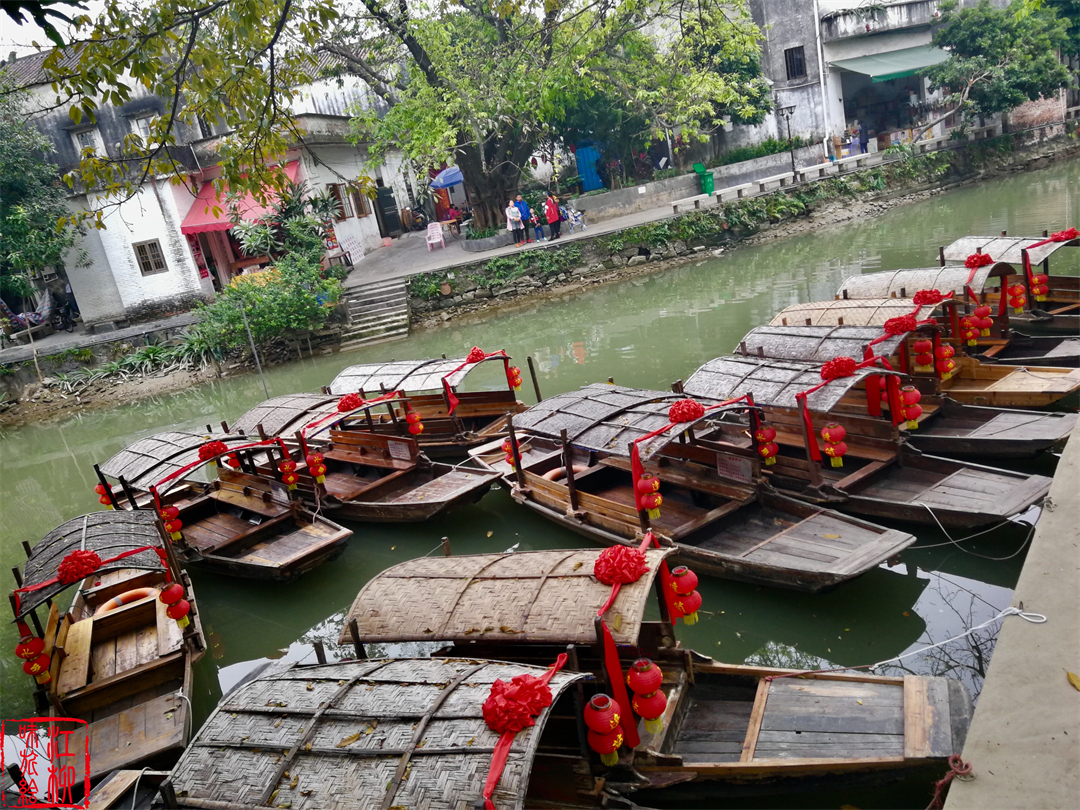 古村探寻｜广东佛山顺德一日打卡杏坛镇两个岭南水乡