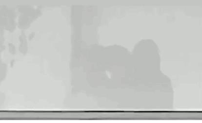 现实版豪门赘婿,现代豪门赘婿