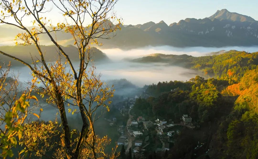 必背100个名著金句,中华经典名著摘抄及心得