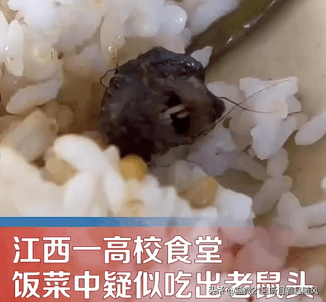 鼠头鸭脖事件中的食品安全问题,鼠头鸭脖事件你有什么感受