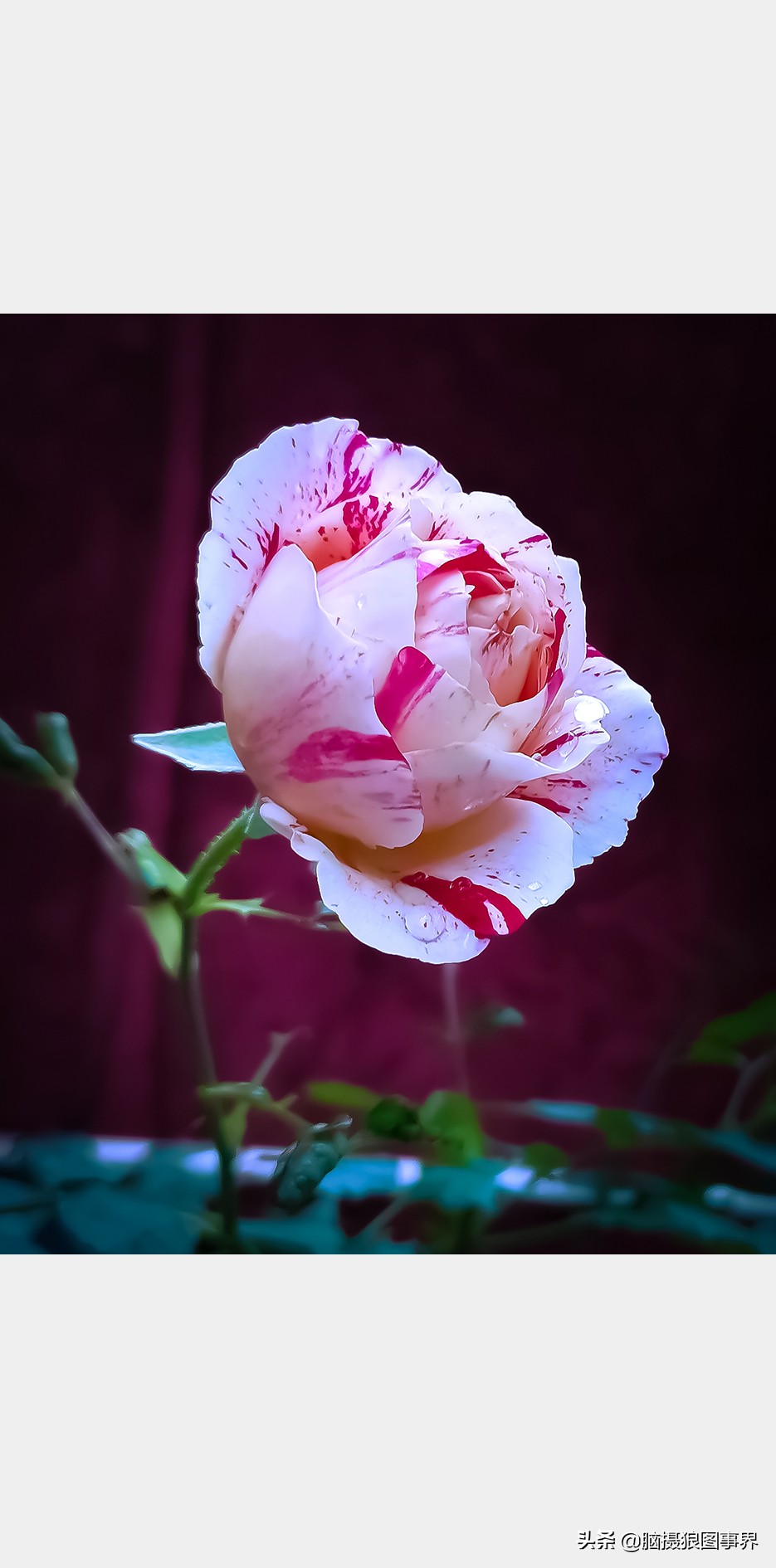 手机拍照不清晰怎么才能拍的好看,vivo手机拍照模糊怎样才能变清晰