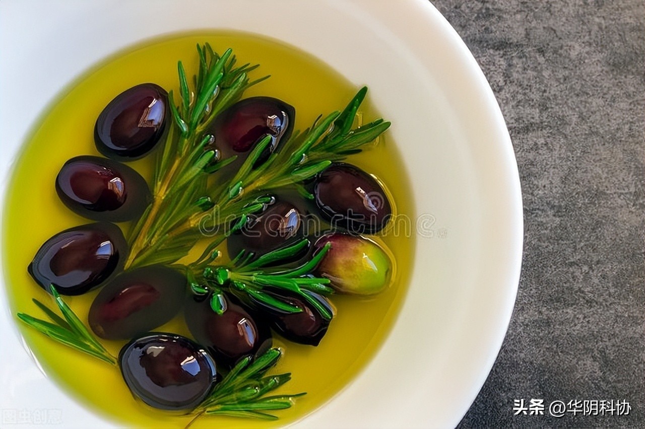 食用油到底选哪种最好,食用油的品种排行榜