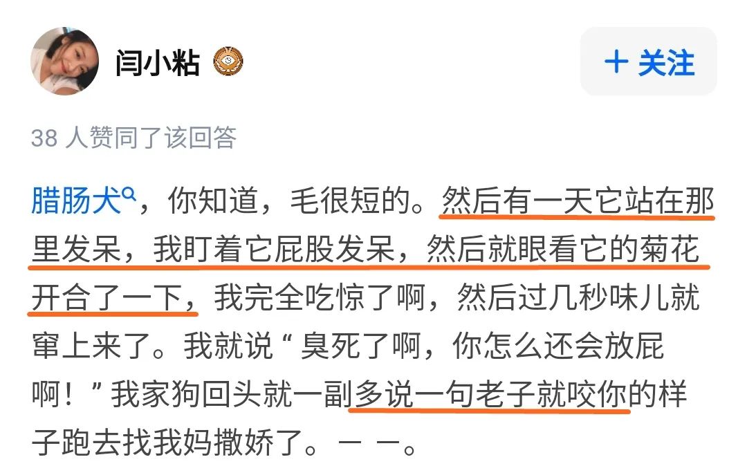 狗狗的屁是不是一股屎味,狗狗的屁有毒吗