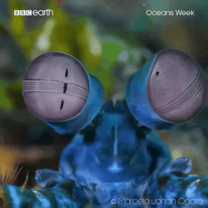 水煮“星辰大海”——马斯克的灶台面——细菌的篮球馆