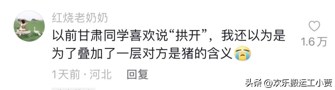 西北人的口音真的很可爱,西北人普通话有口音