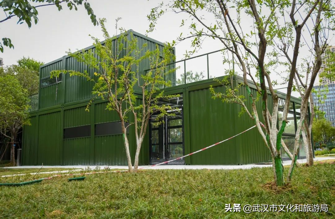 焕新乐园未来5年规划,湿地公园改造前后对比