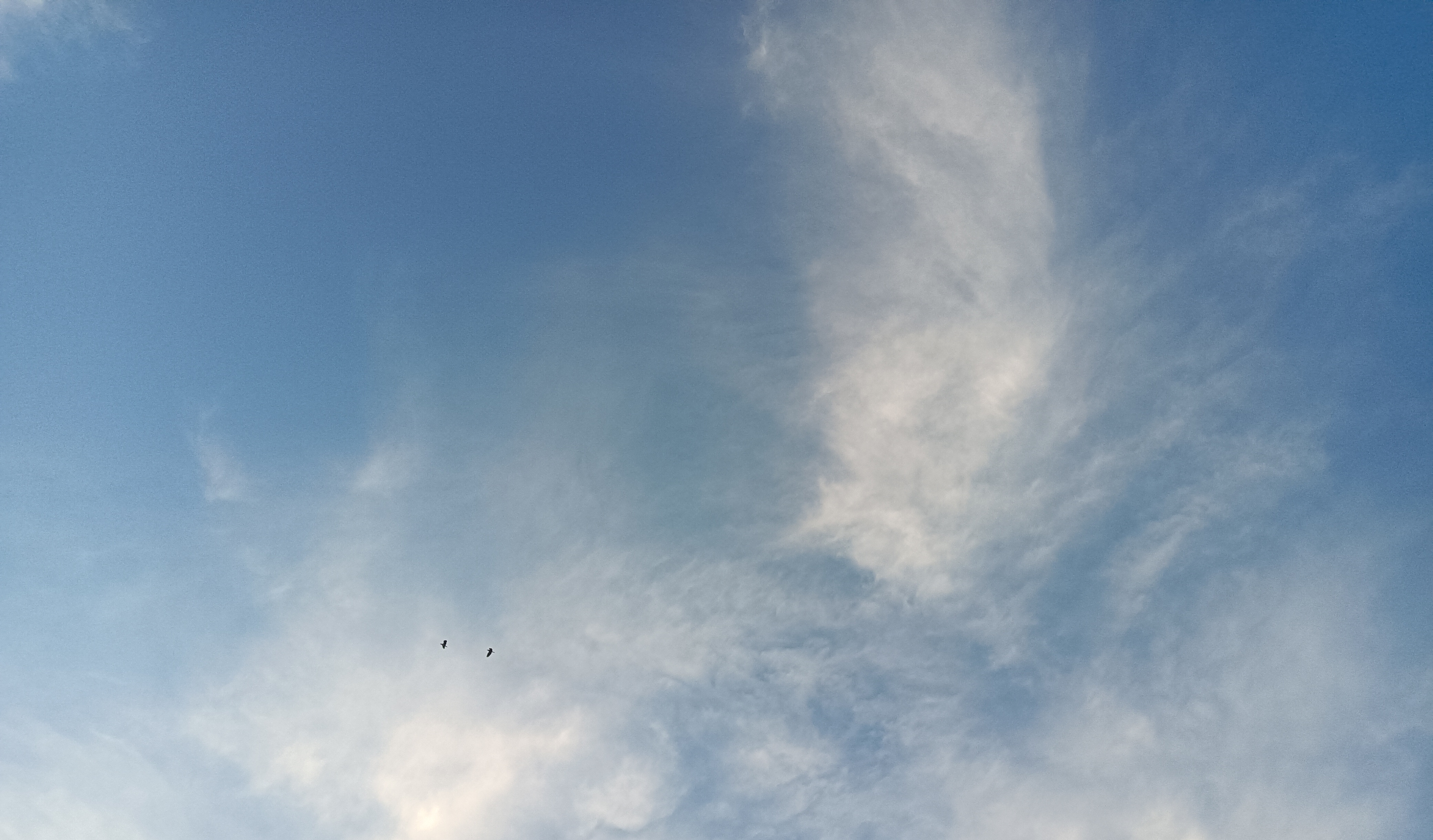 在职或离退休教师不兼职承诺书,教师不在外代课兼职承诺书