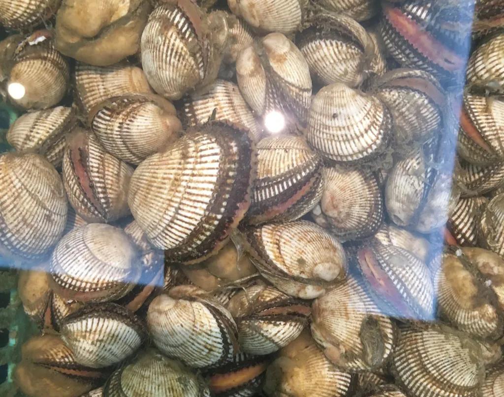 20种海鲜当地吃法,常见的几种海鲜怎么吃