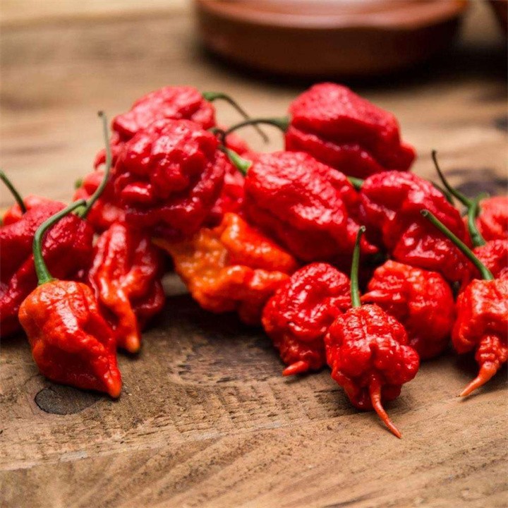 比印度魔鬼椒还要辣的辣椒,印度魔鬼椒的辣度排名第几