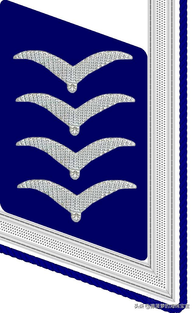 二战德国国防军医疗兵军衔标志