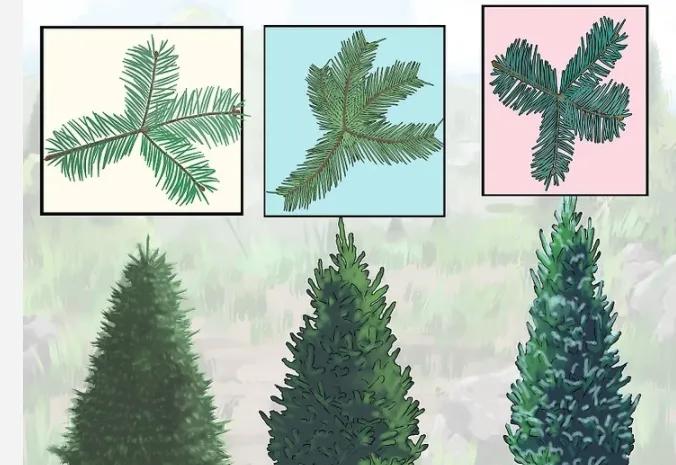 圣诞树小装饰钩织教程,怎么装饰圣诞树英文