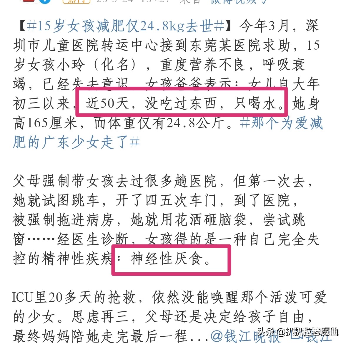 新晋网红电子小猪,网红电子小猪是怎么火的