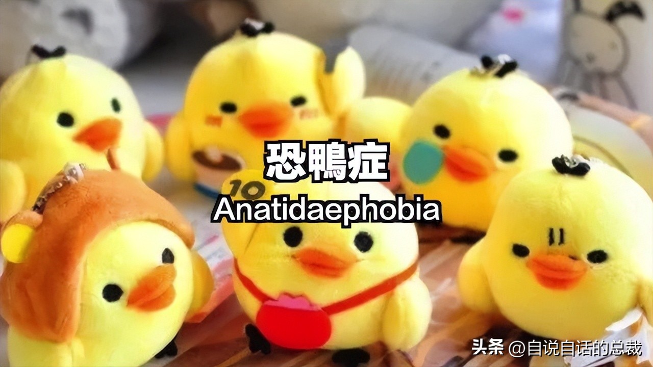 鸭：一鸭战四虎？弹射胜航母？鸭子的真相，也许超乎你的想象