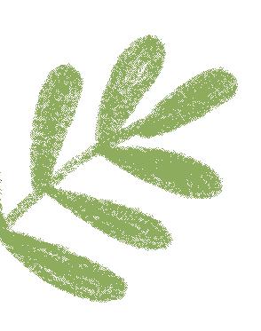 IFA优秀商业论文——《悦己芳香美学工作室商业计划书》