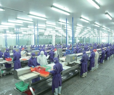 文昌市冯家湾现代渔业产业园入园,海南探索渔业绿色转型