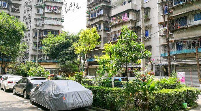 小区旧楼住户能不能自己拆了重建,社区自建房老旧可以拆除重建吗