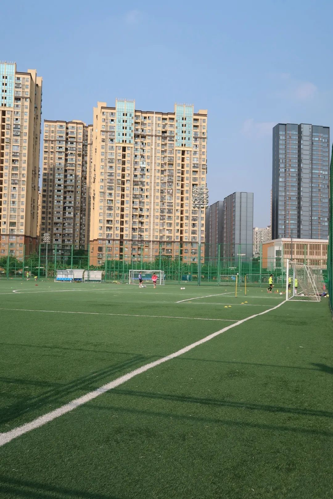 收藏乒乓球推荐,收藏价值高羽毛球拍