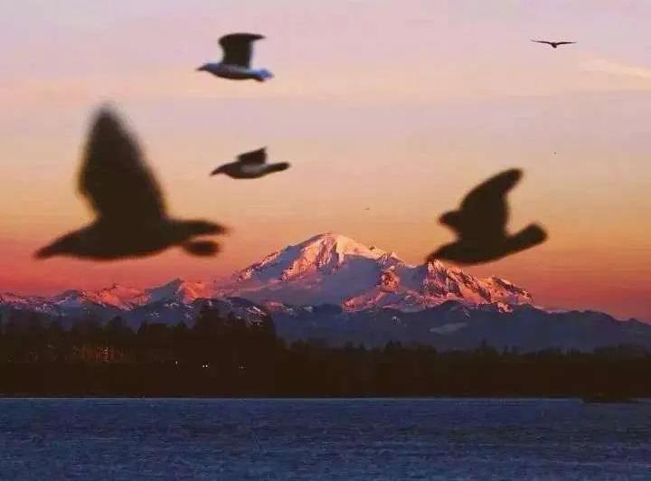 情侣背景图片一男一女带字,情侣套图背景图