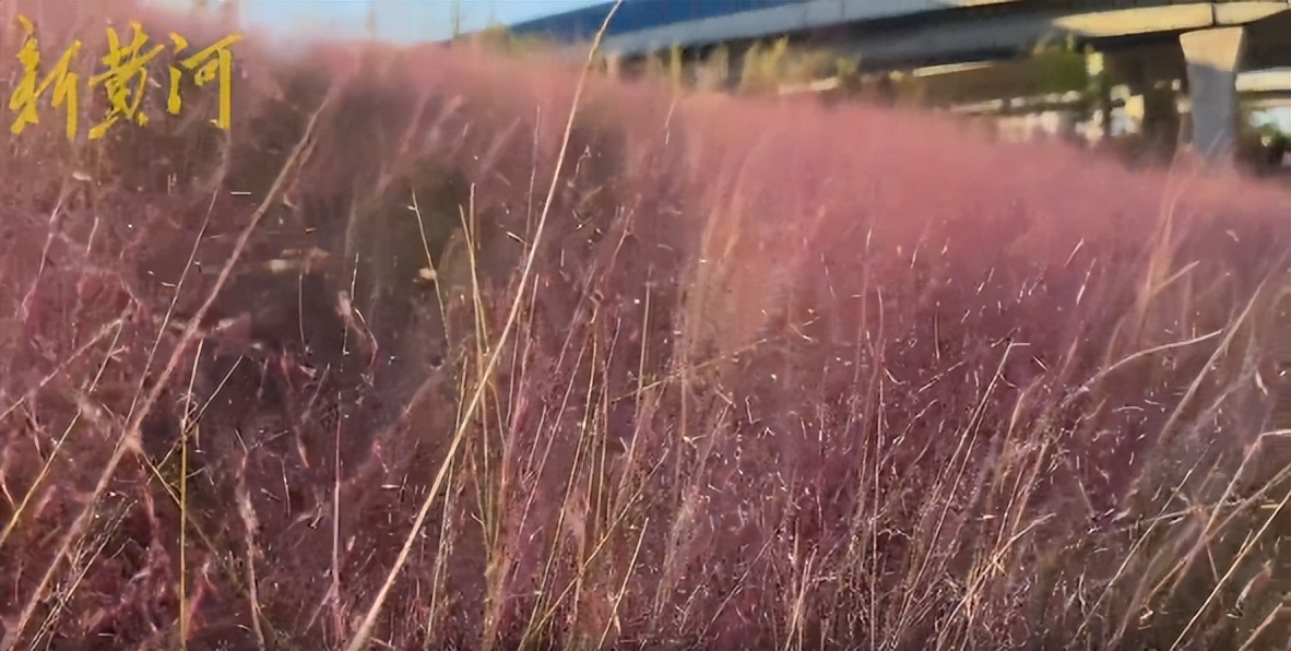 济南美景打卡地秋冬,济南冬天小众宝藏旅行地