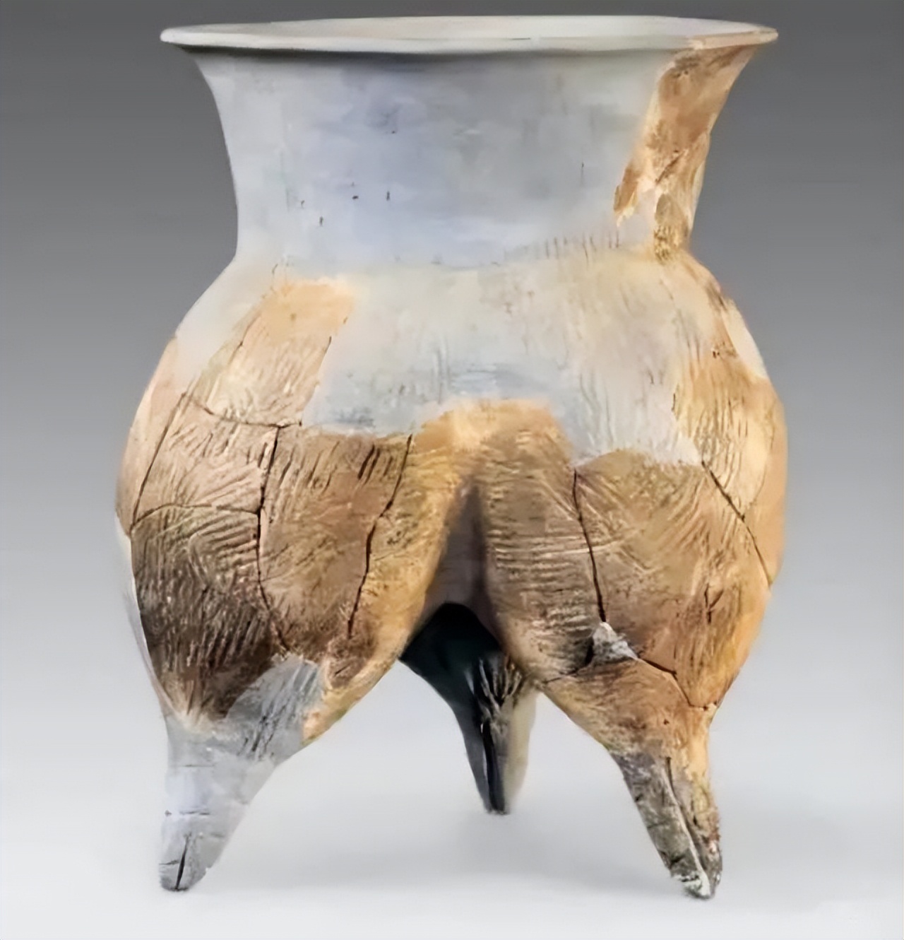 涓浗濂冲皢鍐涘涓彂鐜颁竴绉嶉櫔钁搧,鍟嗘湞濂冲皢鍐涘鍙戞帢