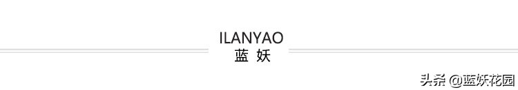 花店里买的玫瑰花开败了怎么扦插,扦插玫瑰花刚出芽又枯萎了怎么办