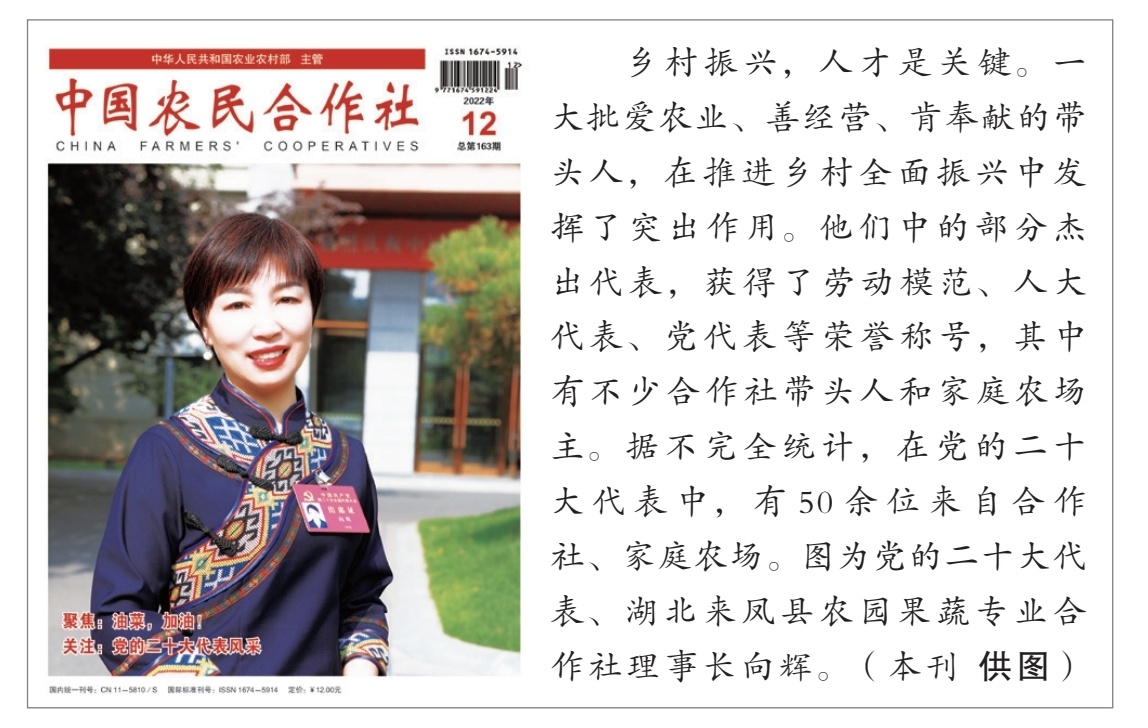 油菜良种繁殖需求描述,油菜良种推广典型材料