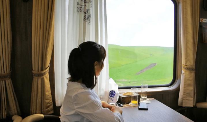 国内最好的旅游专列路线,旅游专列来啦你最想坐上哪一趟