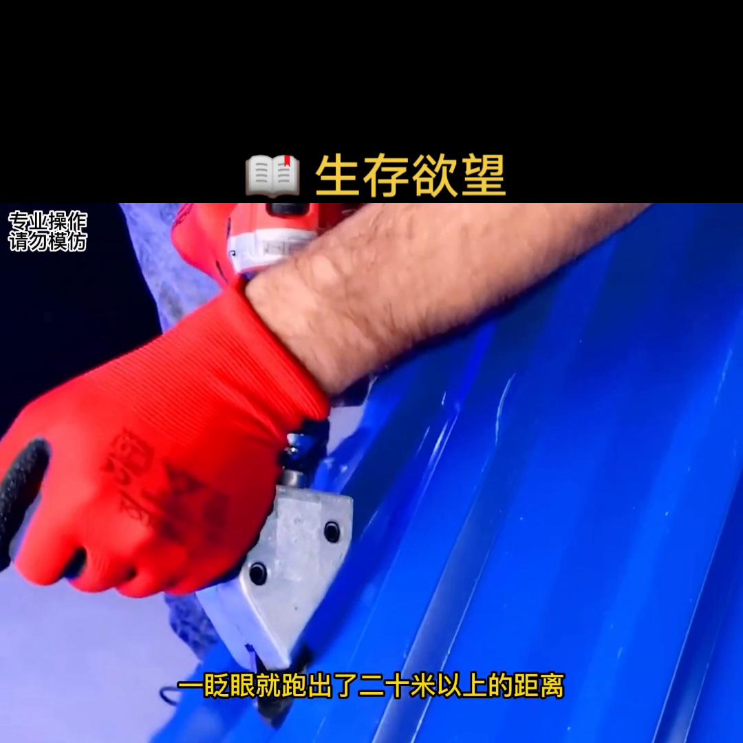 求生欲望抖音小游戏,求生欲抖音小助手